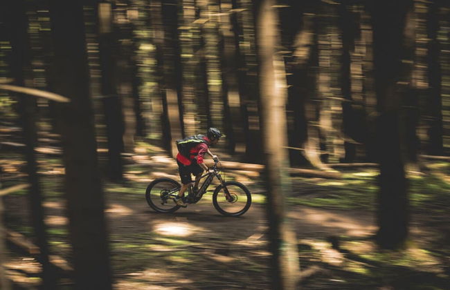 Bergchalet Breitenberg - Foto 2