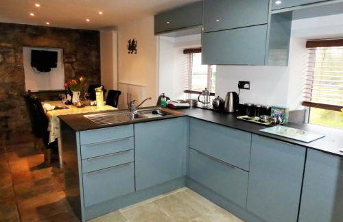 Foxes Reach - nrTintern Wye Valley hot tub EV - Foto 15