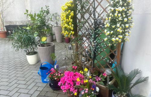 Käthe-Kollwitz-Straße 54, F2 - Foto 19