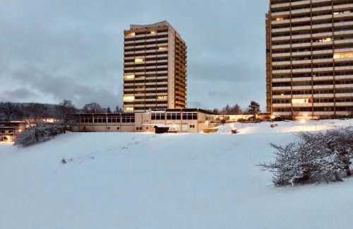 App 365 Panoramic Hohegeiß mit WLan - Foto 41