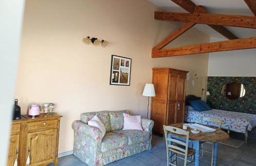 Grand studio et jacuzzi extérieur - Foto 6