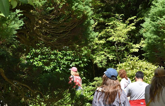 Jardines de Victoria y Butchart - Foto 16