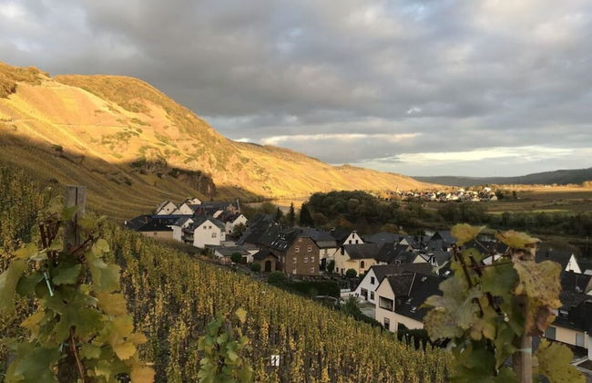 Uitzicht op de Moezel in Urzig - Photo 15