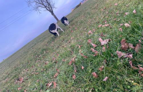 Ferienwohnung Cilli - Foto 22