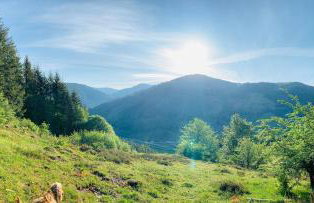 Heimatliebe neu - Foto 11