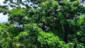 Apto novo de 2 quartos no centro da ilha - Foto 2