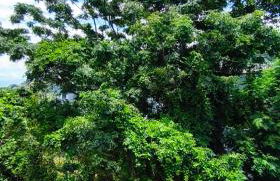 Apto novo de 2 quartos no centro da ilha - Photo 2