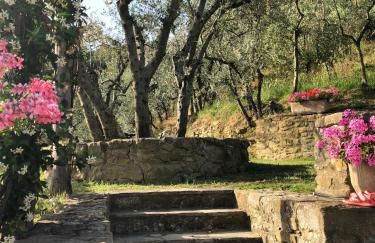 Agriturismo La Casella - Foto 6