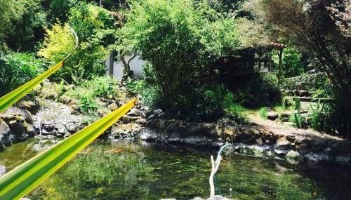 Moinho do Comandante - Foto 4, Other