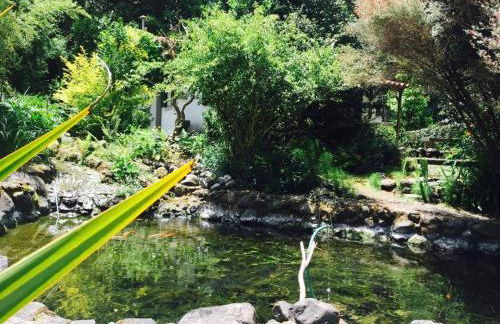 Moinho do Comandante - Foto 4