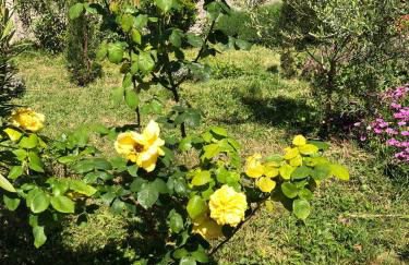 Maison de Charme Classée 3 étoiles - Calme, Jardin, Salle de Sport, Piscine - Foto 26