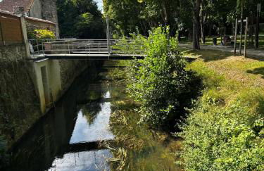 La Crécynade - near Disneyland and Parrot World - Foto 35