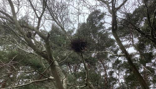 Forest Heath Holidays - Denphyl - Foto 5