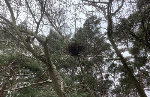 Forest Heath Holidays - Denphyl - Foto 5