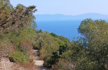 Appartement T2 à la Croix Valmer piscine et tennis - Foto 24