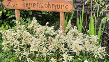 Ferienwohnung van den Berg - Photo 3, Garden