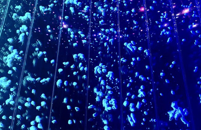 Apartments in Sky Tower with Bathtub near the window - Photo 3