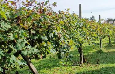 Dimora storica, appartamento in Villa Pampinuccia - Foto 25