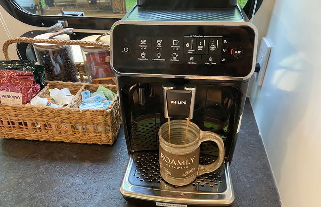Creekside Fern in Pisgah Forest - Foto 19