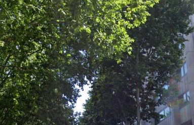 BERNABEU, luxury y luminoso apartamento entero - Photo 33