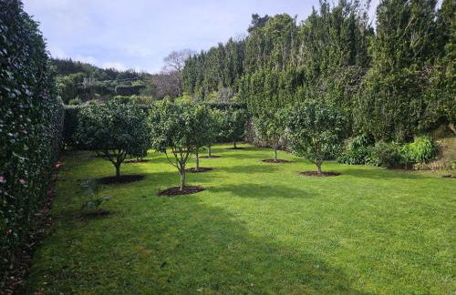 Casa do Simão - Photo 71