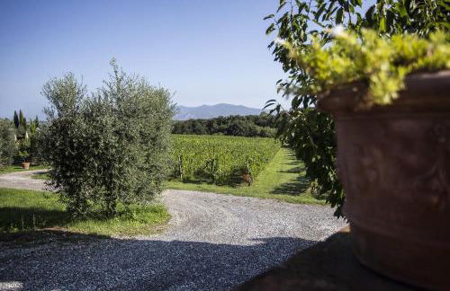 Agriturismo Gli Archi - Foto 54