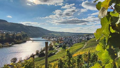 Ferienapartment Weber-Loskill - Foto 4