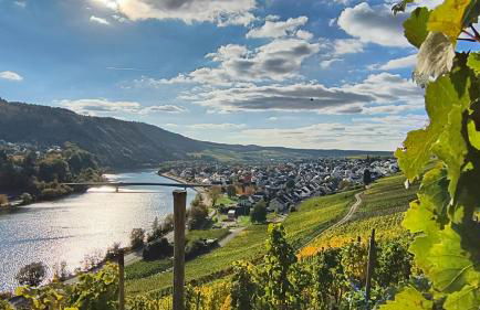 Ferienapartment Weber-Loskill - Foto 4