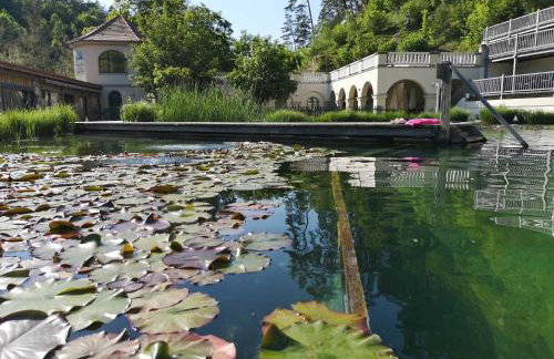 Appartment Schlossblick - Foto 43