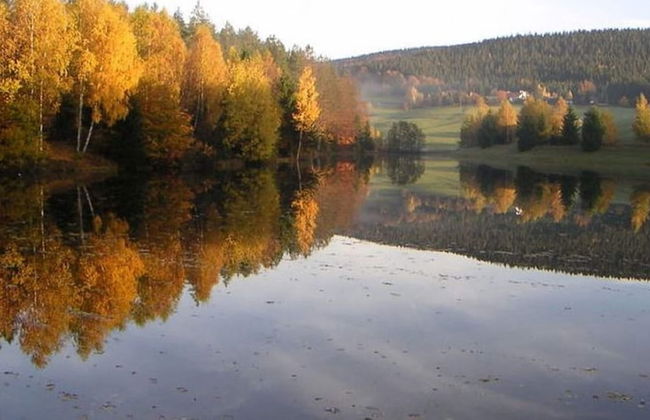 Spacious Holiday Home in Neureichenau-schimmelbach - Foto 19