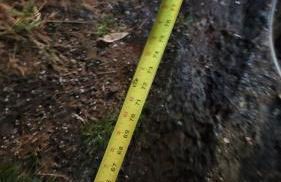 The Fred Deluxe 7 BR by I95 Train HarborVw Beach - Foto 40