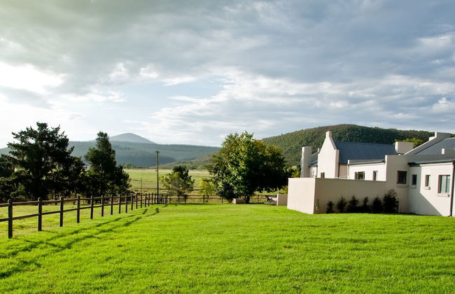 Kay and Monty Vineyard View - Photo 21