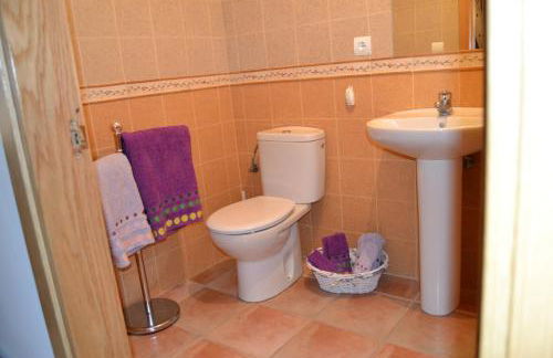 Apartamentos Portal de Ordesa - Photo 21