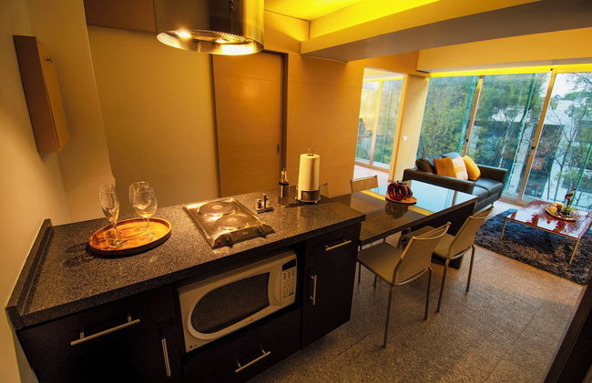 Masaryk 123 | Executive Luxury Apartments in Polanco - Foto 25