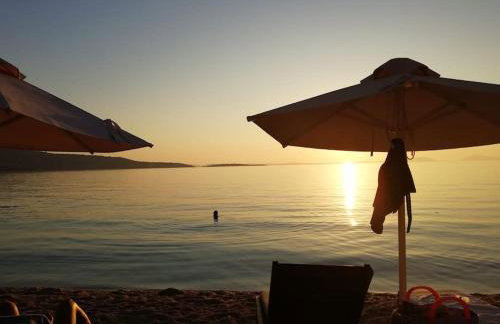 Olive Garden Studio - Foto 45