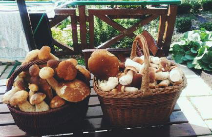 Chata Na Krańcu Świata - Foto 25