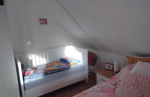 Olifant in Osterode - Foto 34