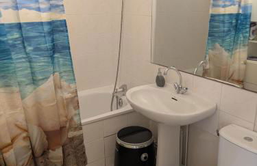 Appart T1bis 31m2 Blagnac proche Tram - Foto 4