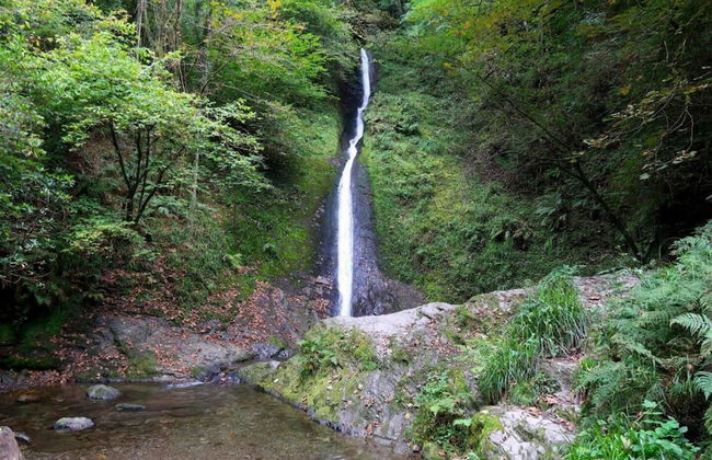 Impeccable 1-bed Cottage on the Edge of Dartmoor - Foto 22