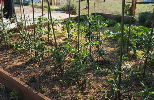 Country House Il Vecchio Ippocastano - Foto 31