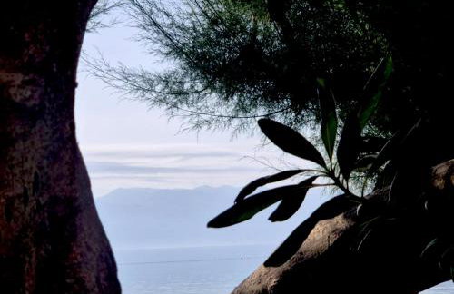 Apartments Kvarner - Foto 58