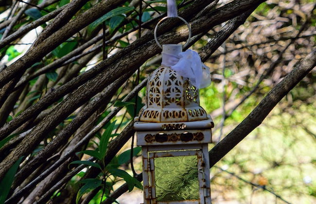 Kiwarrak Country Retreat - Foto 28