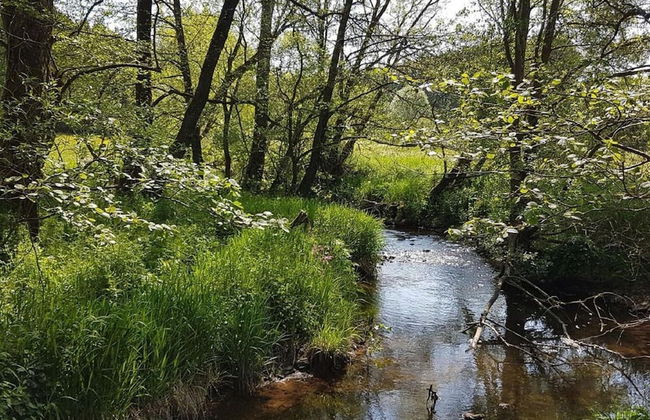 Eifel Farmhouse Retreat - Foto 24