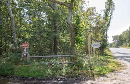 Bring your pups to Chatham Direct access to the Cape Cod Rail Trail - Foto 33