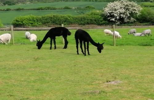 Luddie's Country Cottages - Poppy Cottage - Foto 10
