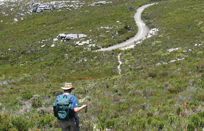 Excursión de medio día de senderismo por la montaña - Foto 2