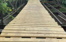 Creekside Escape on 200 acres - Foto 10