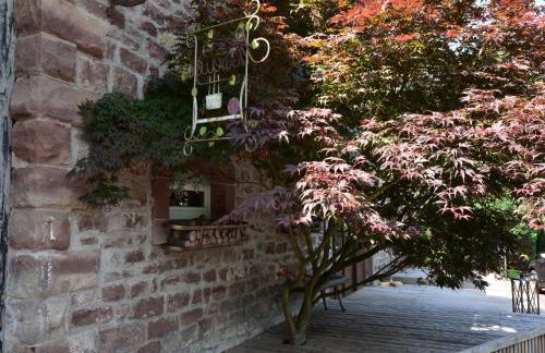 Wellness & Adventure Escape - Foto 31