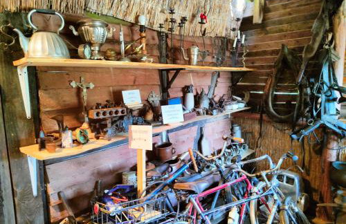 Agroturystyka Zagroda Alpaka - Foto 59