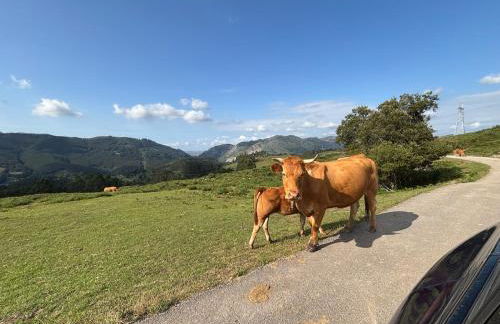 El Refugio de los Corrales - Foto 69